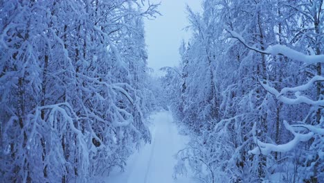 Drohnenvideo-Einer-Schneebedeckten-Straße-Oder-Eines-Pfades-In-Einem-Wald-Zur-Goldenen-Stunde