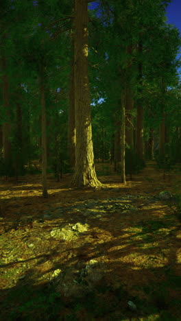 exploring the tranquility of a sunlit forest at dusk