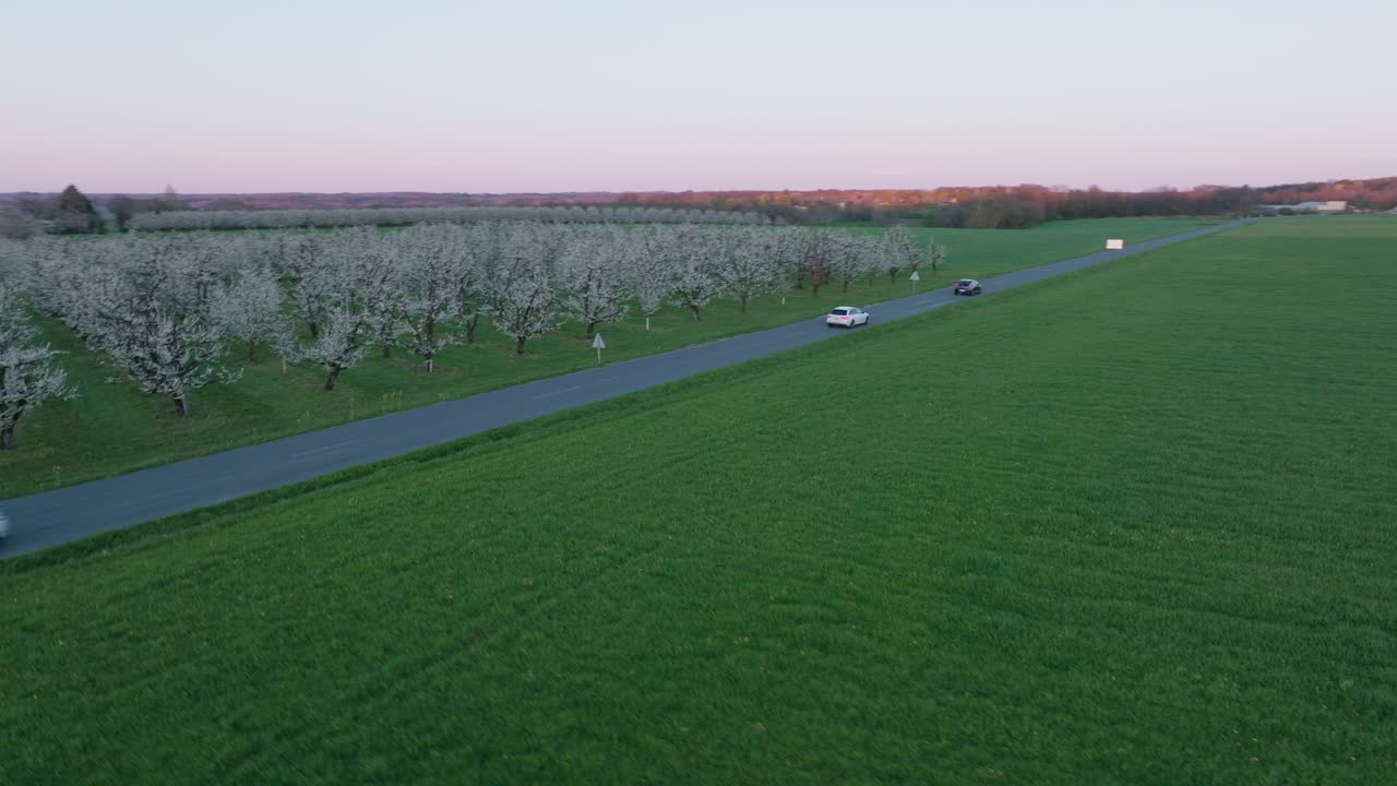 Aerial blossoming plum orchards and lush green lawns, a car moves steadily along the road toward the horizon
