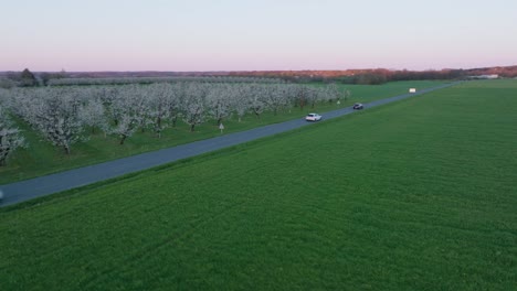 aerial blossoming plum orchards and lush green lawns, a car moves steadily along the road toward the horizon