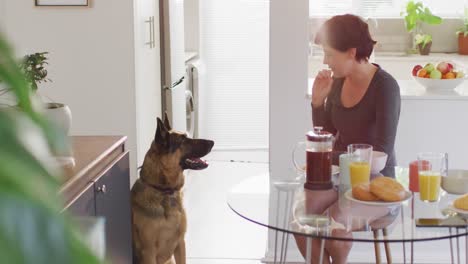 mujer caucásica alimentando a su perro en la sala de estar en casa