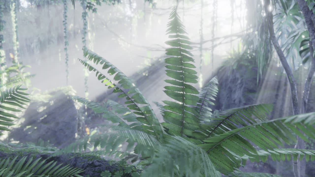 Lush Tropical Jungle with Ferns and Sunlight