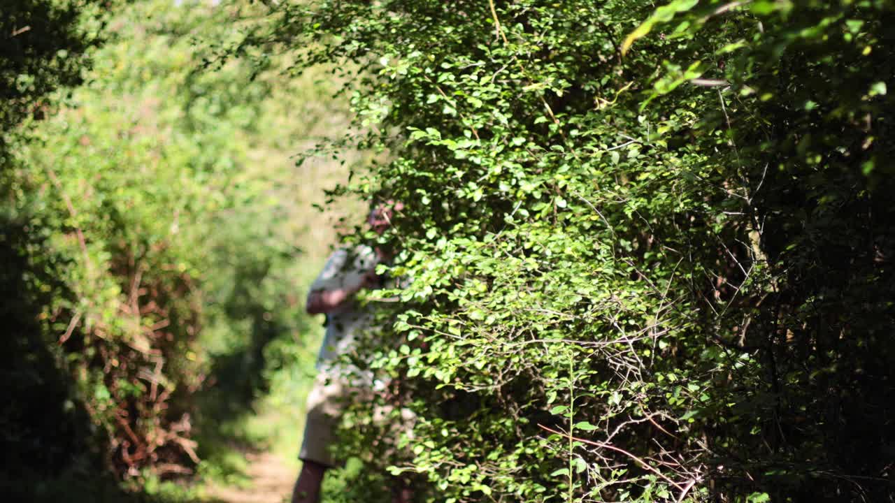 hombre caminando por un camino de bosque exuberante