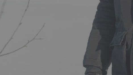 person reaching out to a branch in winter