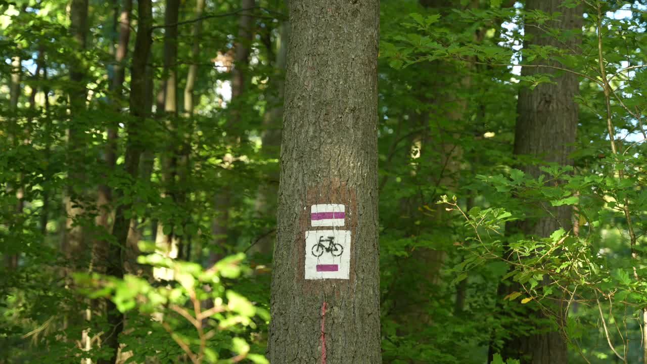 Bicycle Trail Marker in a Forest