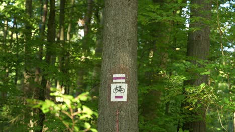 bicycle trail marker in a forest