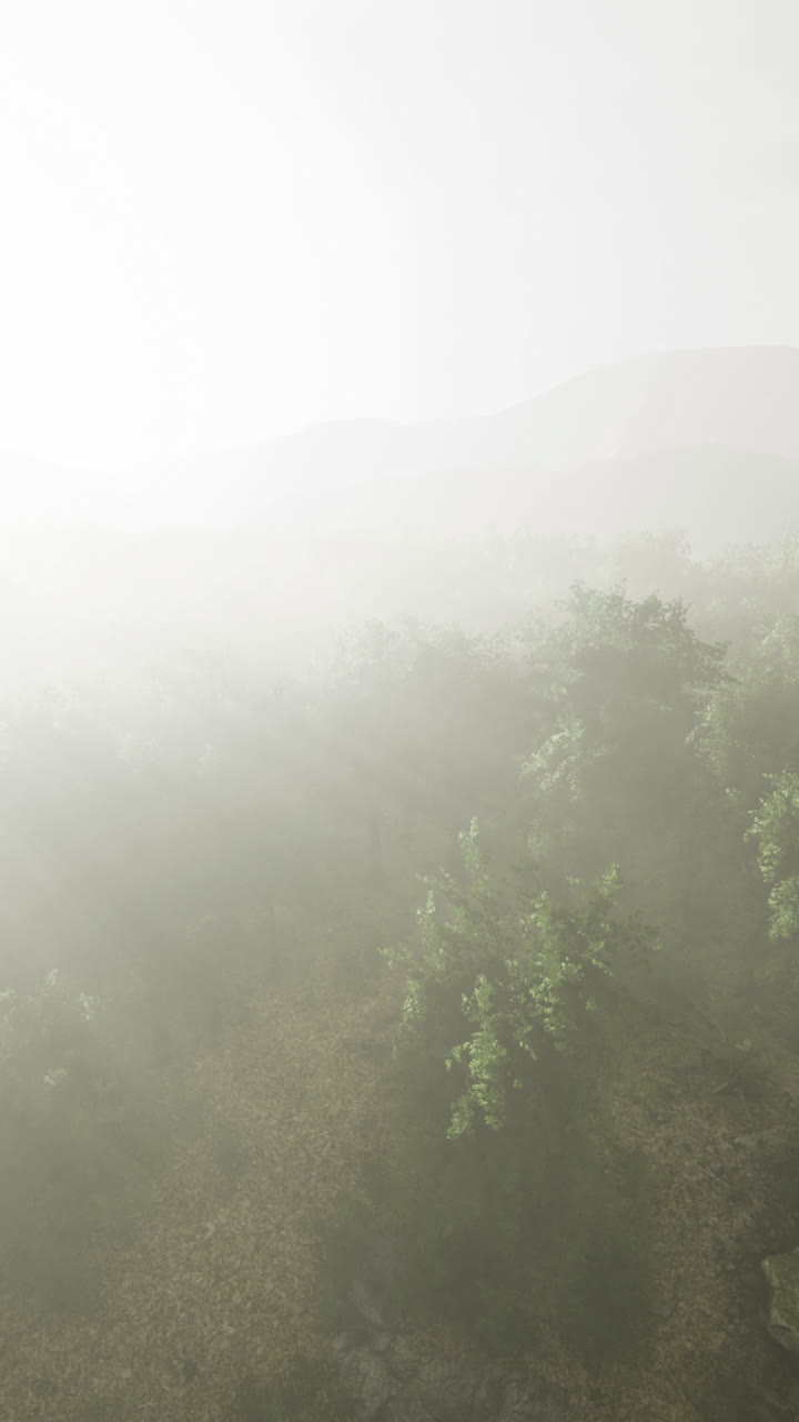 Misty dawn over lush green hills creating a serene and tranquil atmosphere