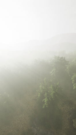 misty dawn over lush green hills creating a serene and tranquil atmosphere