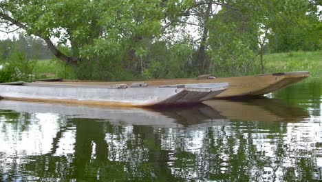 taditional wooden boats called drevak on cerknica lake under tree