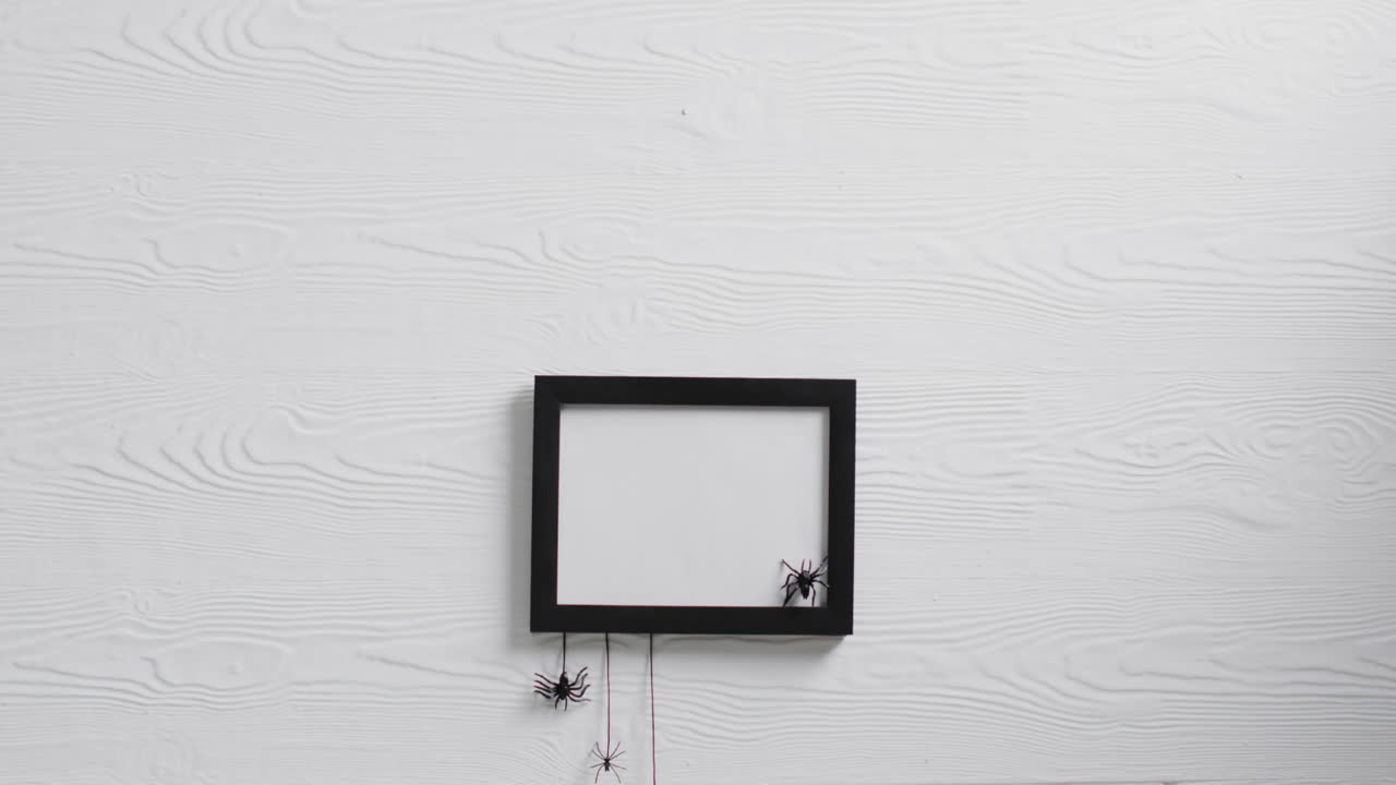 video de marco negro y arañas con espacio de copia en fondo blanco
