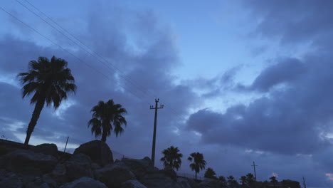 time lapse video cloudy sky golden sunrise over palm trees early morning