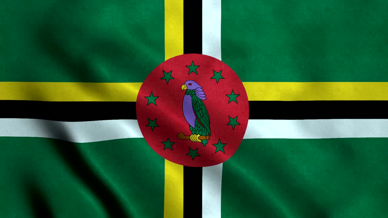 도미니카의 발을 4k 무로 을 수 있습니다.