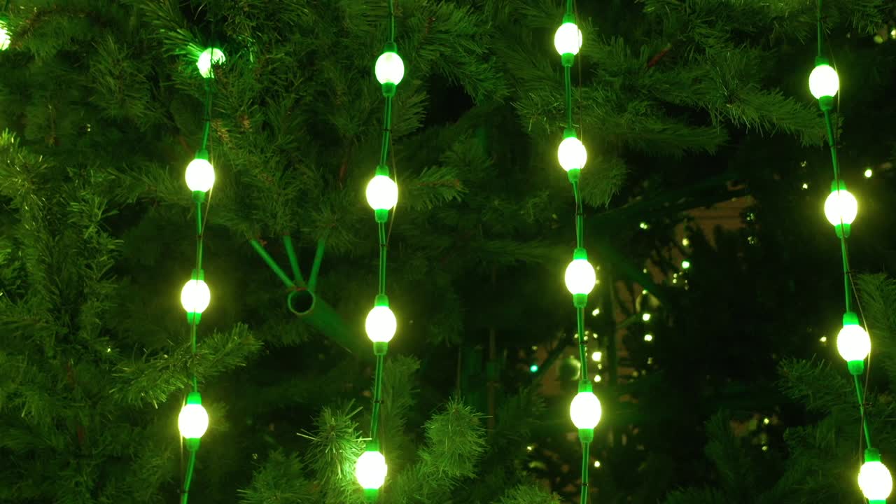 Flashing colored lights on a christmas tree