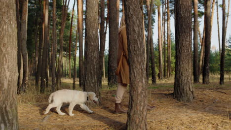 una mujer con un perro camina entre pinos altos en el bosque