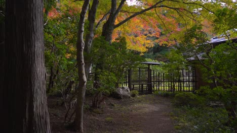 el muñeco se empuja lentamente hacia la puerta en el santuario japonés con vibrantes colores de otoño