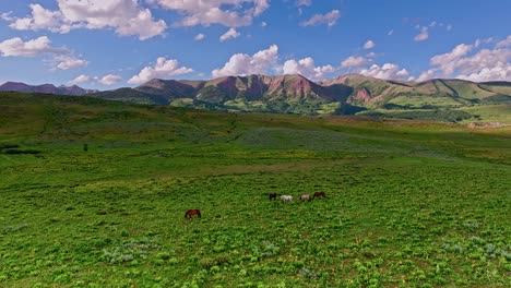 luftaufnahme über grüne hügel und wiesen in der nähe des crested butte mountain mit wilden pferden im vordergrund, colorado, usa