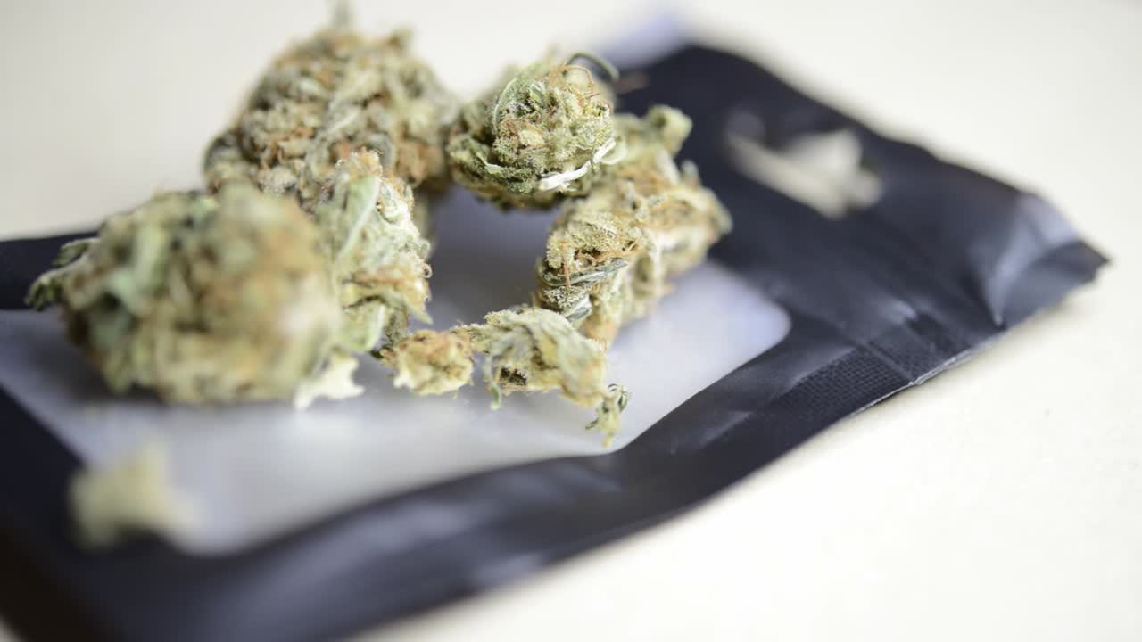 유기적으로 재배된 작은 가방 위에 마리화나 잡초 봉오리를 피울 준비가 된 매크로 회전 샷을 닫습니다.