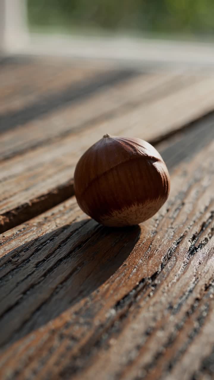 Close-up of a single chestnut on rustic wood, shot at a low angle