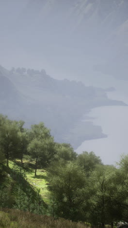 Forest overlooking a lake with fog in the background