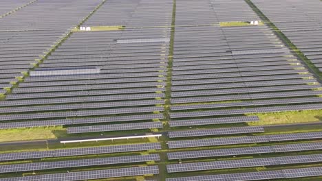 detailed view of aligned solar panels capturing sunlight for energy production.