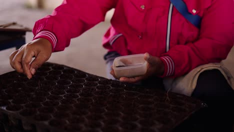a person planting seeds into a multi-cell tray