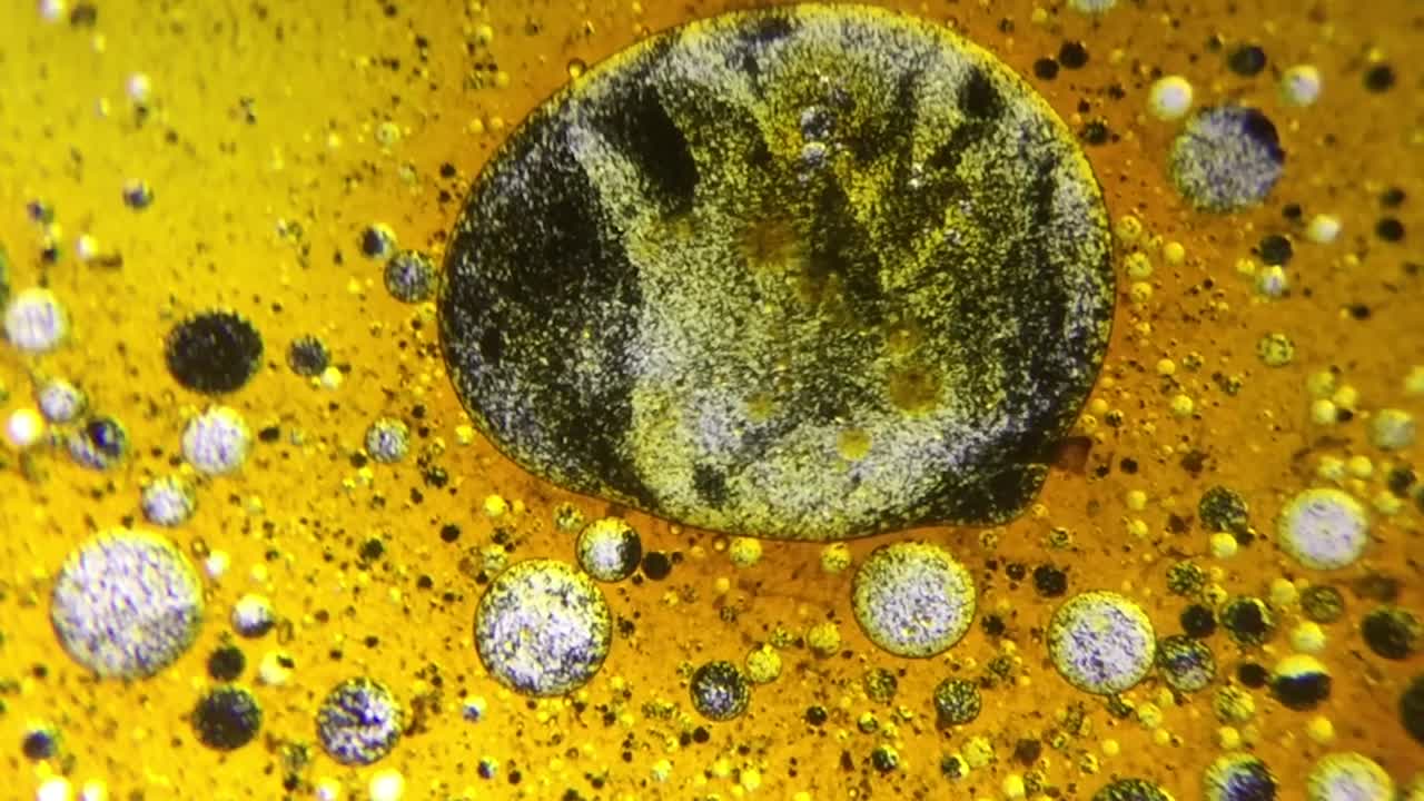 la combinación de agua y aceite y el color del gouache ha creado algo similar a las células del cuerpo humano