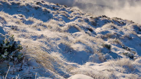 idílico paisaje de nieve congelada y helada en las montañas iluminadas por la luz del sol, tiro panorámico