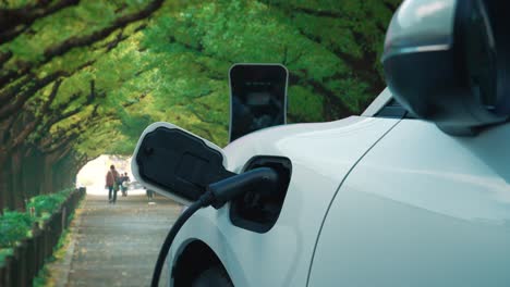 chaque voiture recharge sa batterie dans le parc entouré de gens et d'arbres.