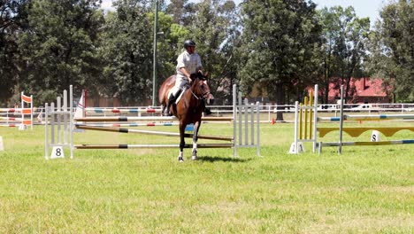 horse and rider jumping over obstacles