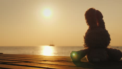 teddy hare meets the sunrise on the sea children's dreams concept