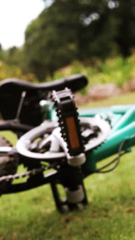 boy getting injured after falling from bicycle