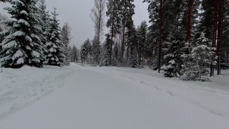 POV-Fahrt-Durch-Schneebedeckte,-Eisige-Wälder-Im-Trüben-Nördlichen-Klima