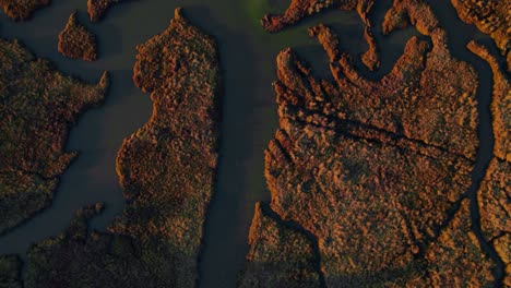 Intrigante-Paisaje-Anaranjado-Quemado-Y-Vías-Fluviales-Oscuras-Con-Una-Sensación-Cálida