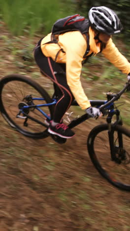 bicicleta de montaña femenina cabalgando en el bosque