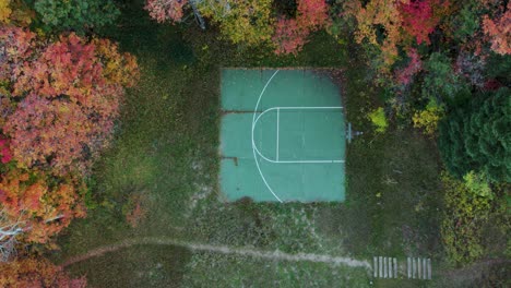 Cancha-De-Baloncesto-Verde-En-El-Patio-Trasero-En-Un-Colorido-Bosque-Otoñal,-Arriba