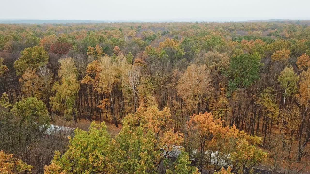 Highway road in rural area. Aerial view of highway road through forest