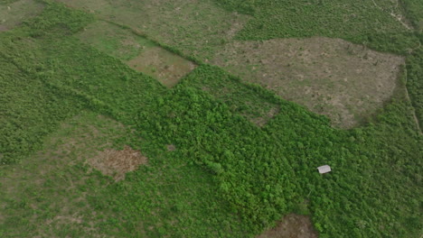 Luftaufnahmen-Von-Oben-Nach-Unten-Von-Brandflecken-Im-Wald-Und-Dschungel-In-Den-Ländlichen-Gebieten-Von-Sierra-Leone