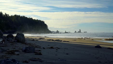 The-beautiful-Third-Beach-in-Forks,-Washington-with-golden-sand,-large-cliffs-with-pine-trees,-and-rock-formations-in-the-water-on-a-warm-sunny-summer-morning