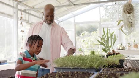 happy senior african american grandfather and grandson tending to plants in greenhouse, slow motion