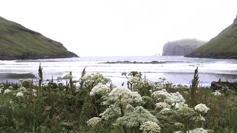 view of beach and waves from tjornuvik village in the faroe islands on windy misty day with mountains in the background