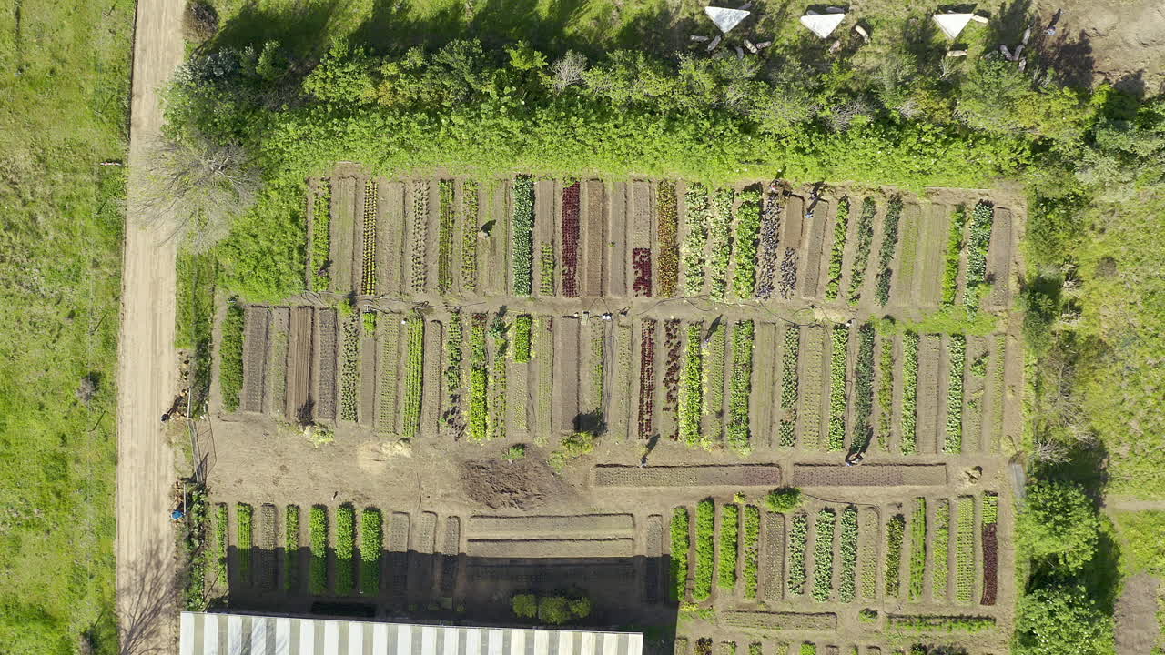 농업은 팀 노력입니다.