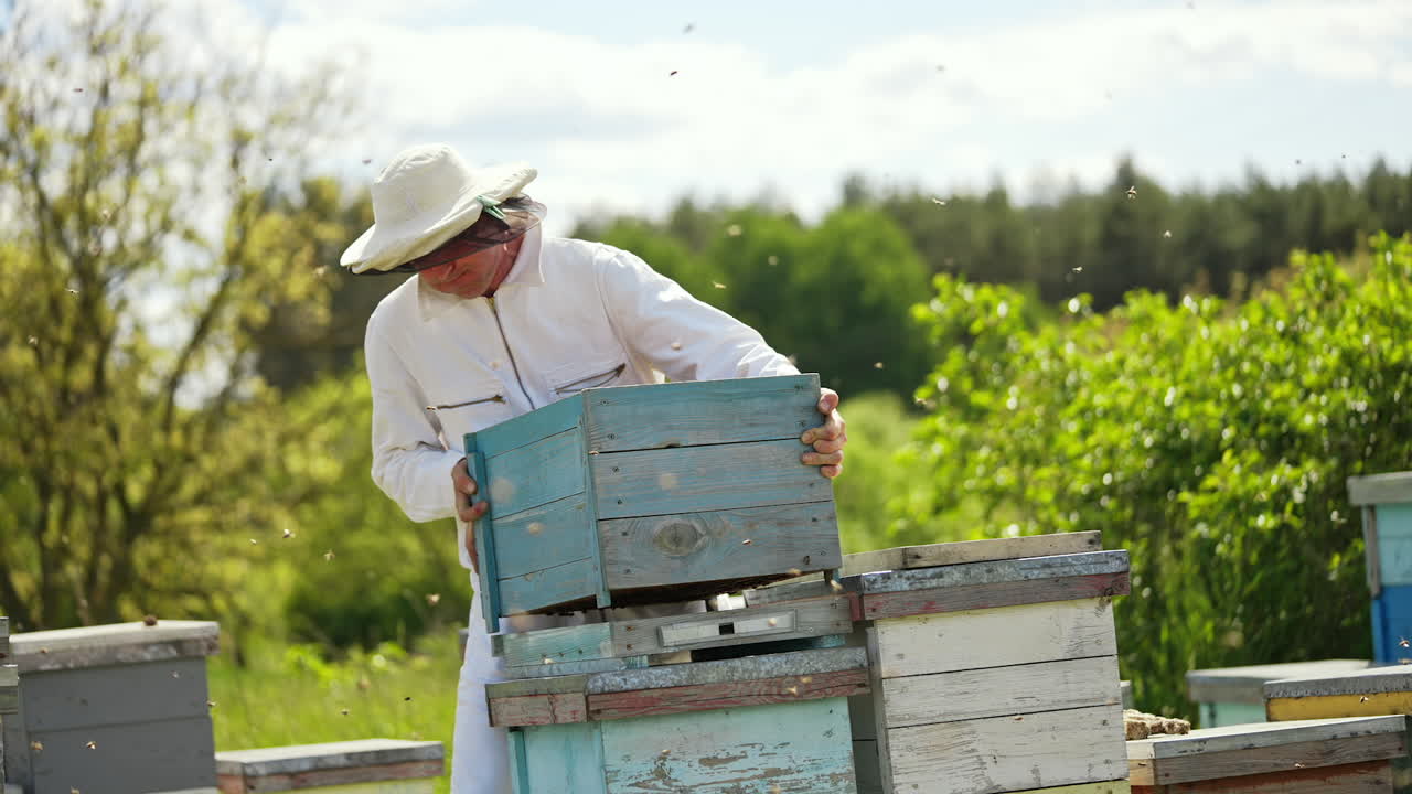 Handsome beekeeper working with honeycombs. Young beeworker in uniform.