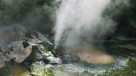 Cerca-De-Rociar-Agua-De-Géiser-En-La-Selva-Profunda-De-Waimangu,-Nueva-Zelanda