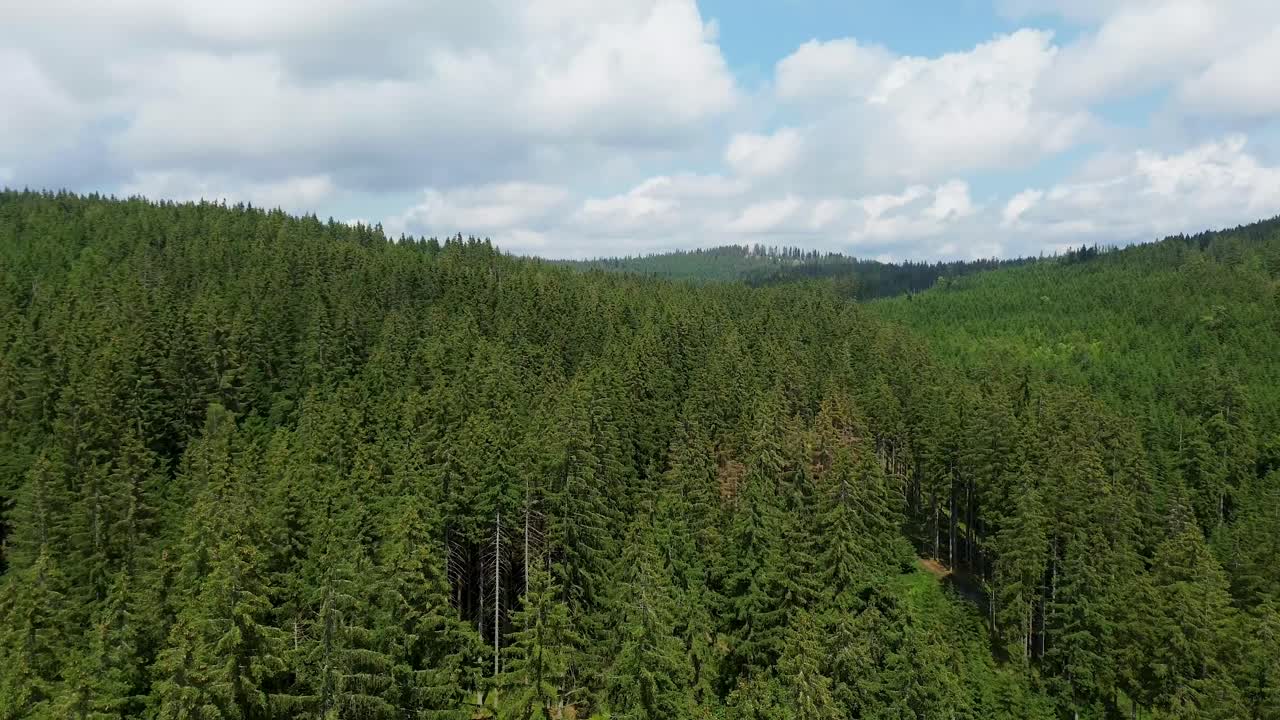 cinematic view from a drone, flying over the treetops of a large green forest in the mountains