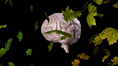 autumn leaves floating against spinning human brain icon on black background