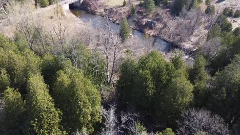 Beautiful-Forest-Surrounding-A-River-In-A-Rural-Landscape