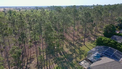 Drone-shot-of-little-brushes-or-trees-planted-to-separate-the-traffic-and-roads-from-the-resorts