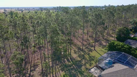 toma de drones de pequeños cepillos o árboles plantados para separar el tráfico y las carreteras de los resorts
