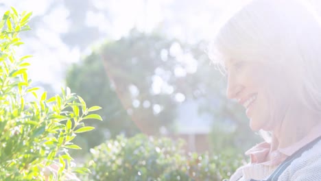 Mature-woman-checking-plant