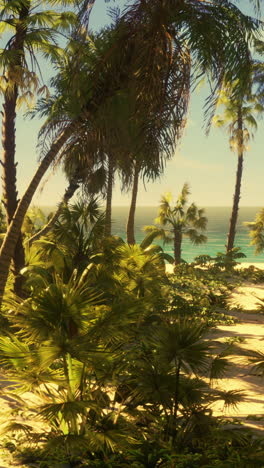 tropical beach paradise: palm trees, ocean, and sunny skies